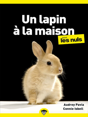 cover image of Un lapin à la maison pour les Nuls, poche